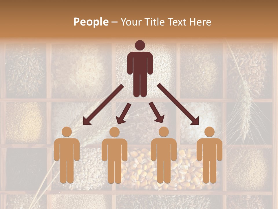 Energy Switch House PowerPoint Template