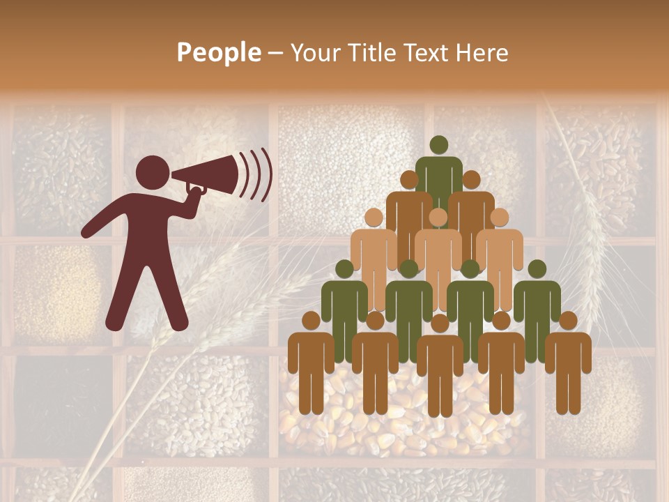 Energy Switch House PowerPoint Template