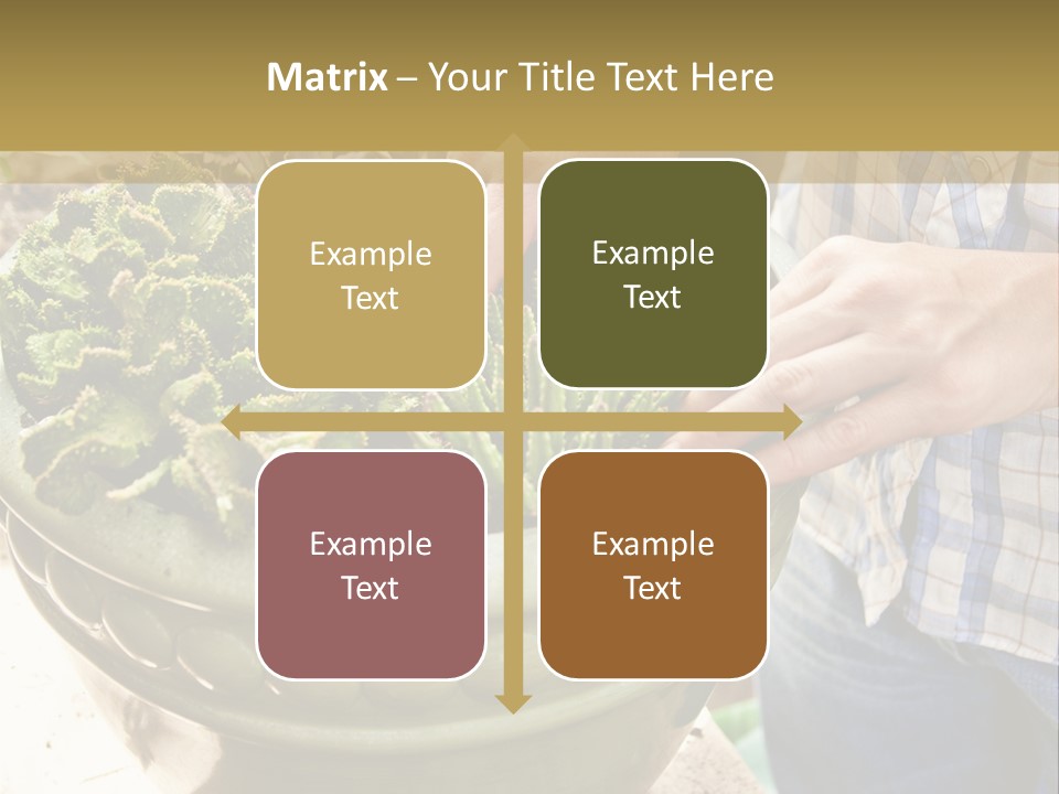 Home Condition Electricity PowerPoint Template