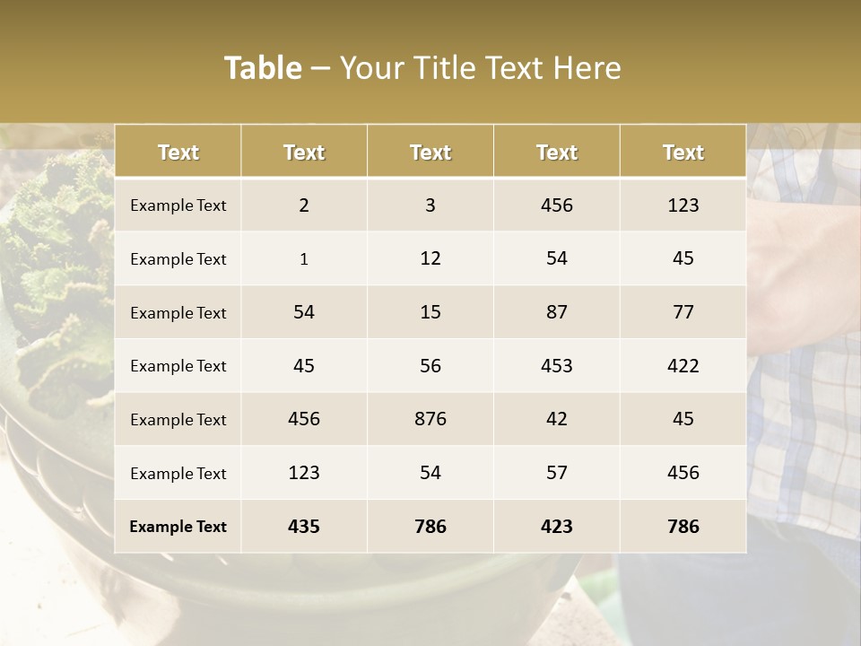 Home Condition Electricity PowerPoint Template