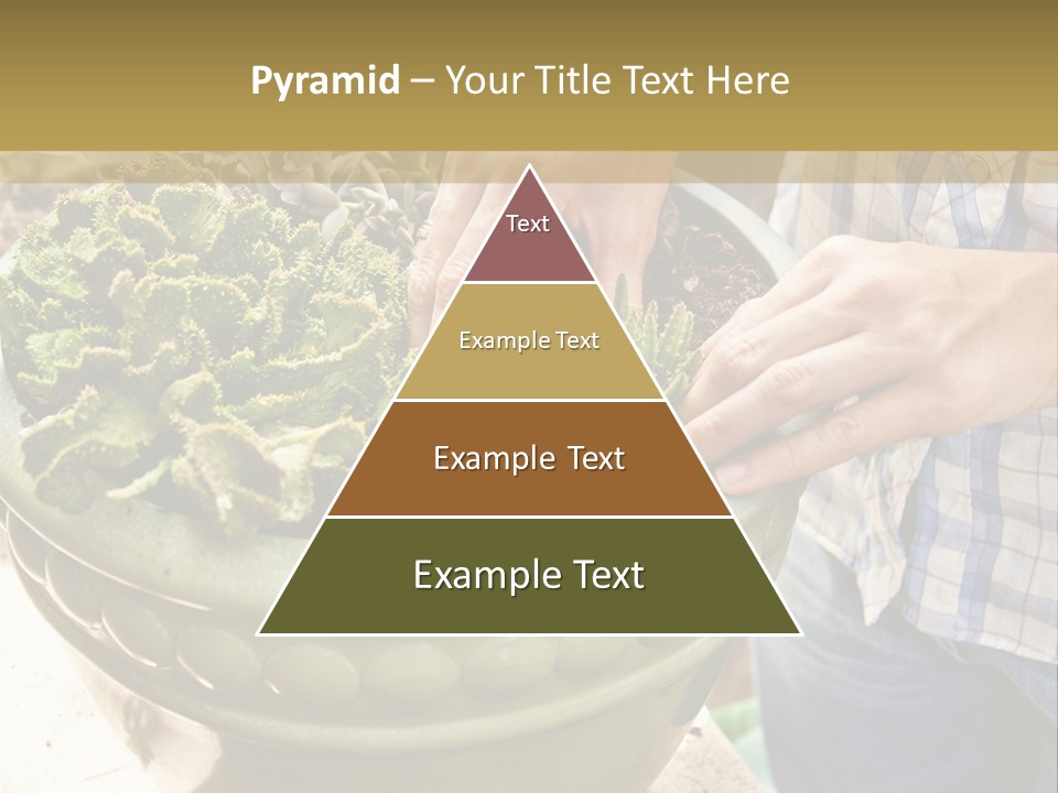 Home Condition Electricity PowerPoint Template