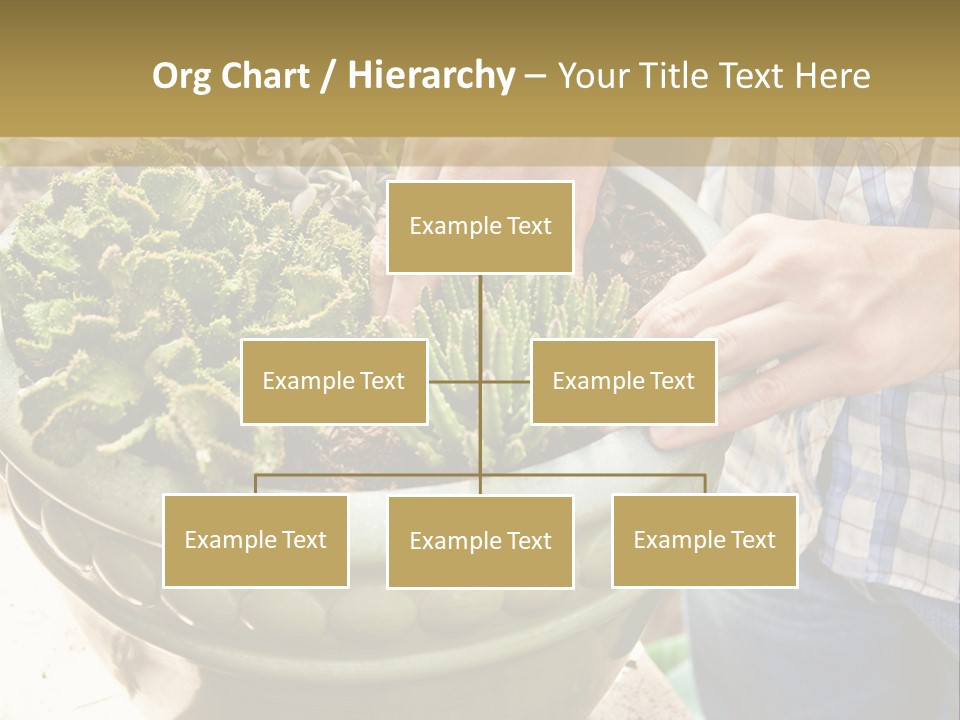 Home Condition Electricity PowerPoint Template