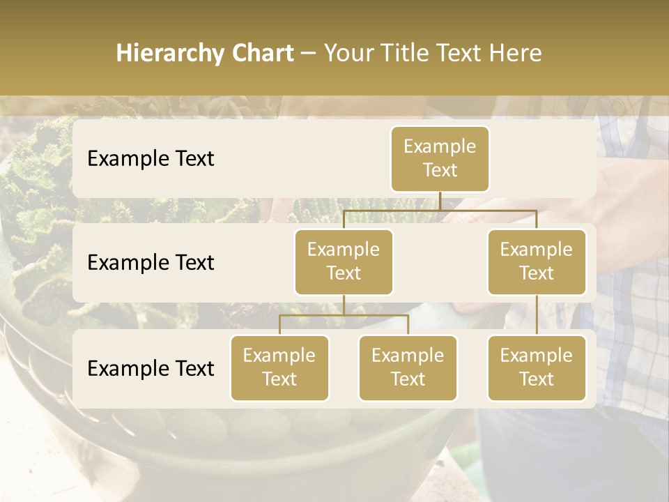 Home Condition Electricity PowerPoint Template