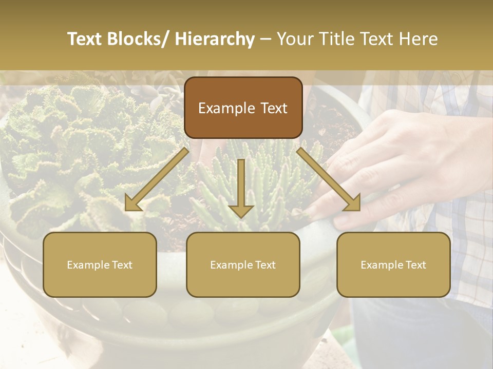 Home Condition Electricity PowerPoint Template