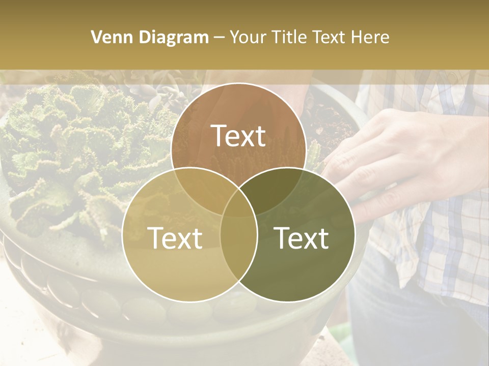 Home Condition Electricity PowerPoint Template
