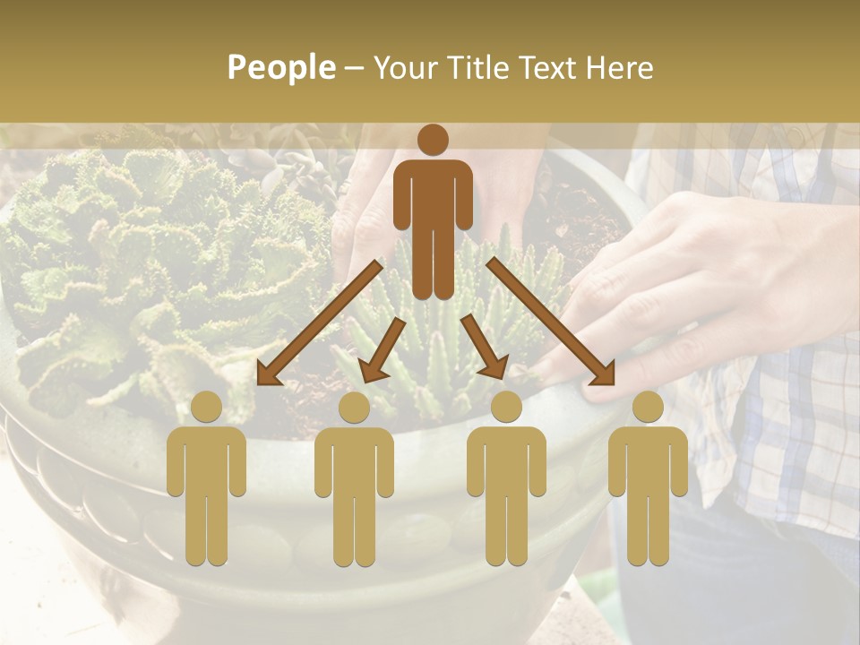 Home Condition Electricity PowerPoint Template