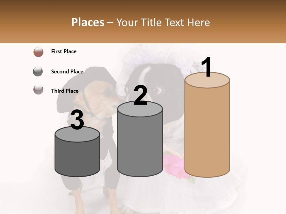 Cool House Conditioner PowerPoint Template