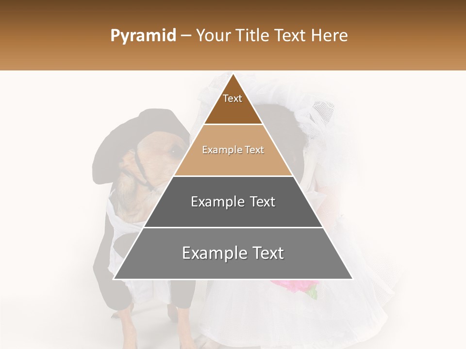 Cool House Conditioner PowerPoint Template