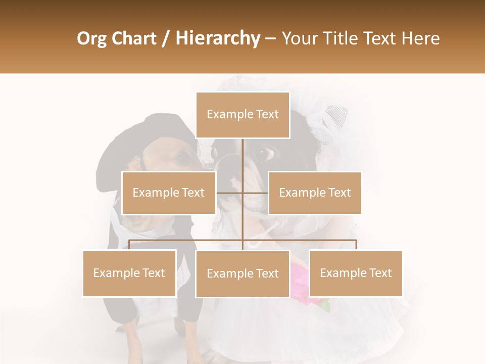 Cool House Conditioner PowerPoint Template