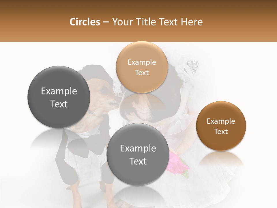 Cool House Conditioner PowerPoint Template