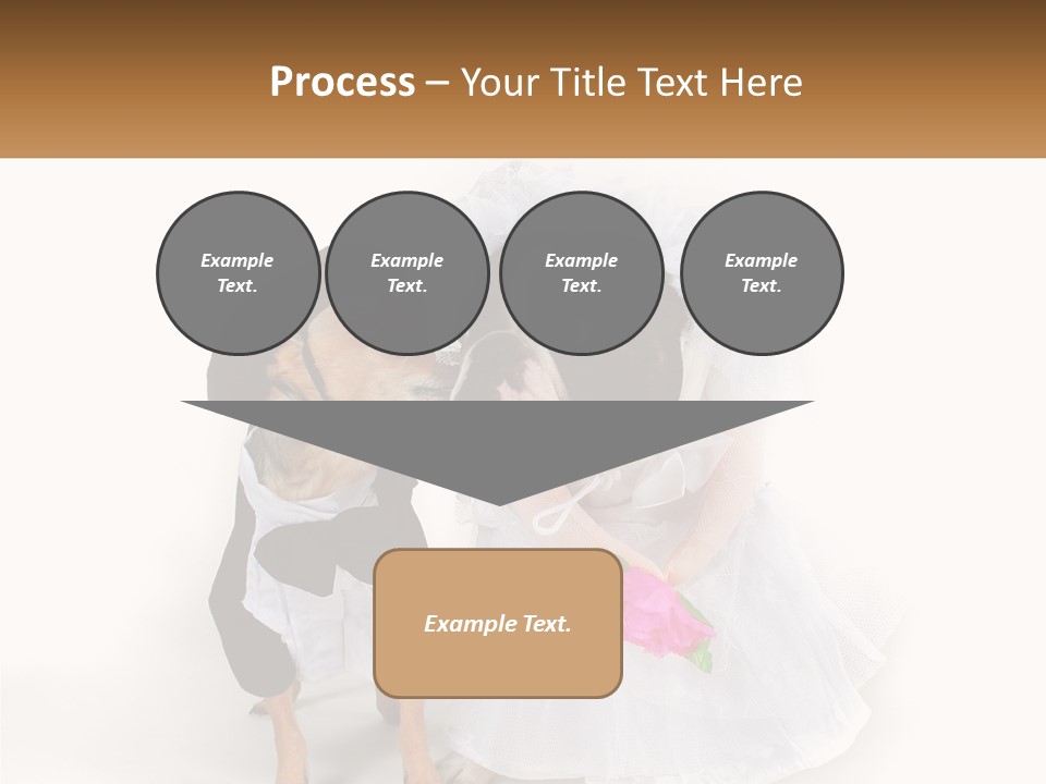 Cool House Conditioner PowerPoint Template