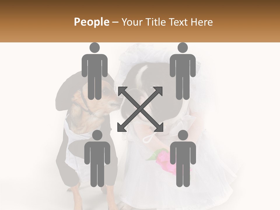 Cool House Conditioner PowerPoint Template