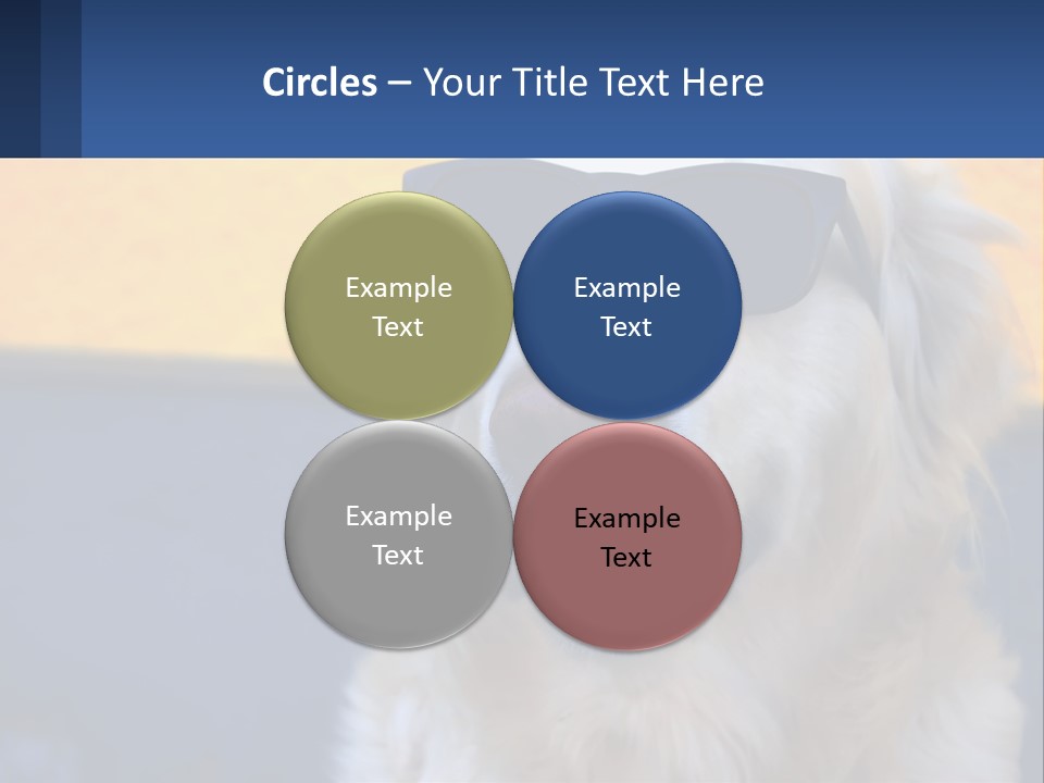 Condition Switch Electricity PowerPoint Template