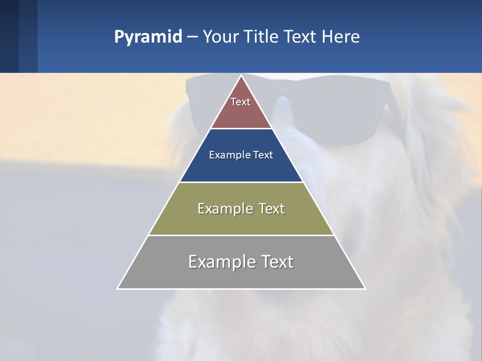 Condition Switch Electricity PowerPoint Template