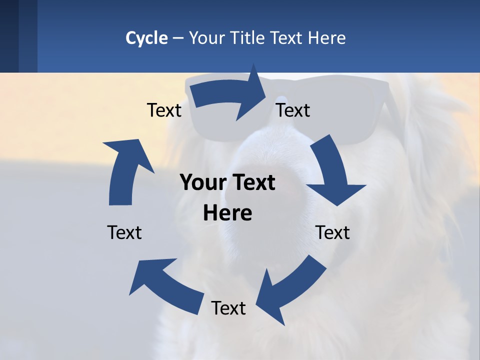 Condition Switch Electricity PowerPoint Template