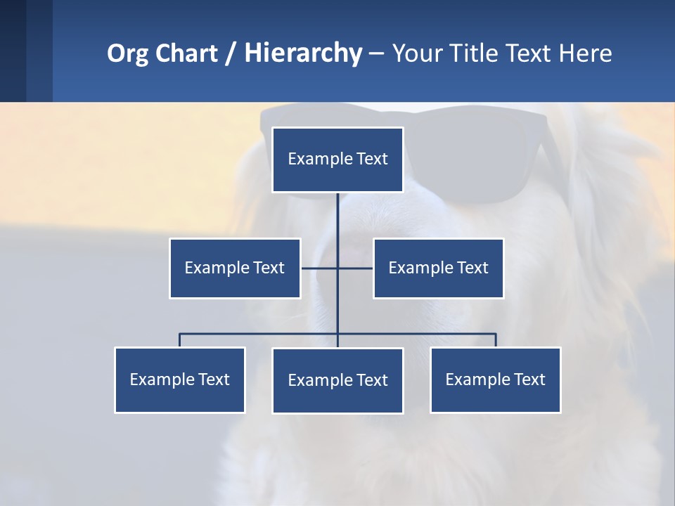 Condition Switch Electricity PowerPoint Template