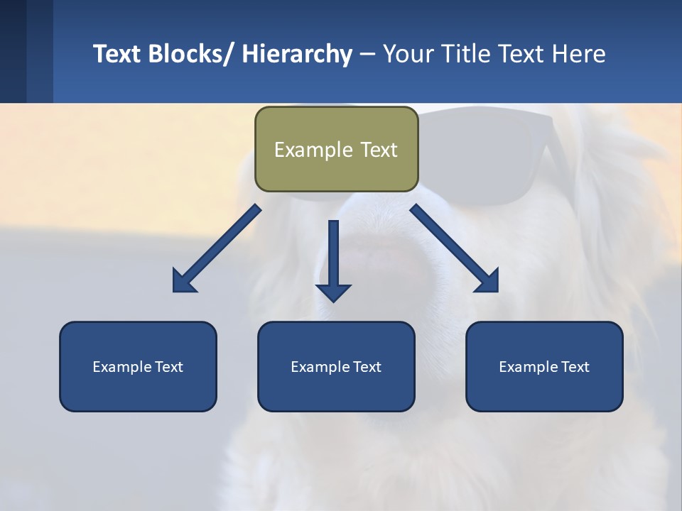Condition Switch Electricity PowerPoint Template
