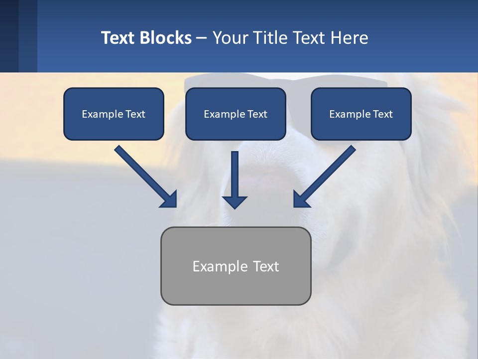 Condition Switch Electricity PowerPoint Template