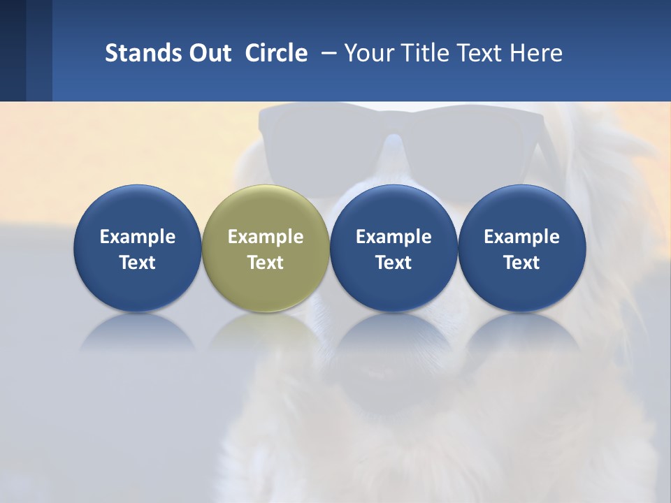 Condition Switch Electricity PowerPoint Template