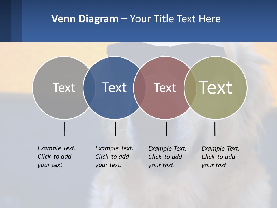 Condition Switch Electricity PowerPoint Template