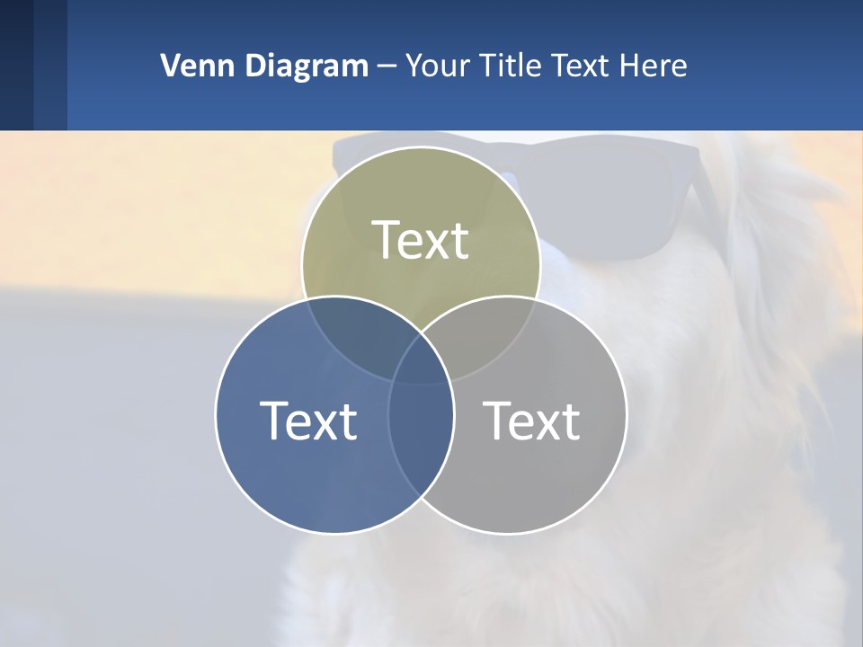 Condition Switch Electricity PowerPoint Template