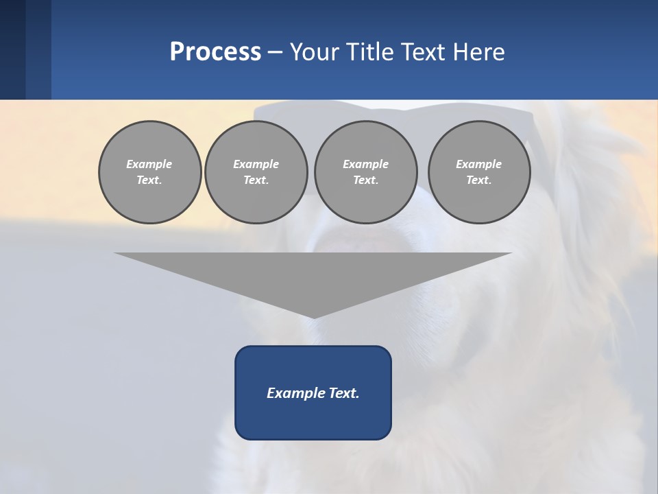 Condition Switch Electricity PowerPoint Template