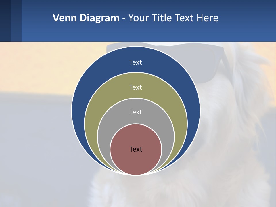 Condition Switch Electricity PowerPoint Template