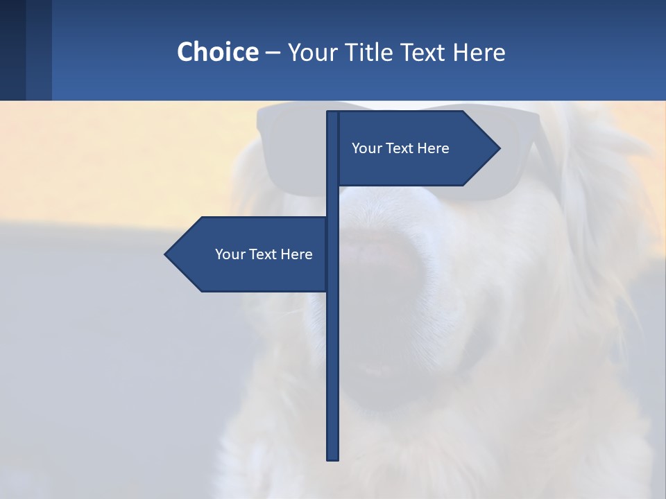 Condition Switch Electricity PowerPoint Template
