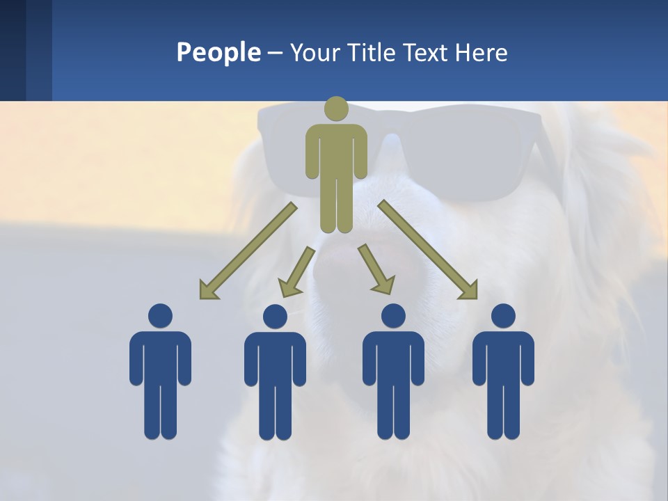 Condition Switch Electricity PowerPoint Template