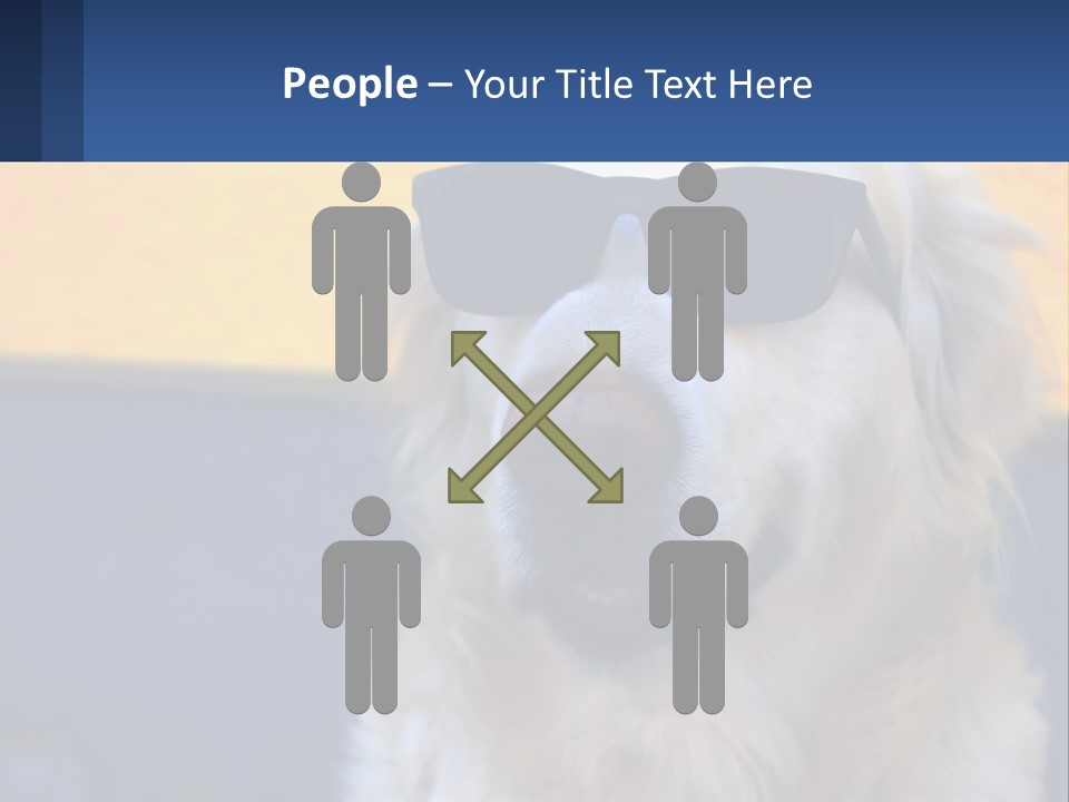 Condition Switch Electricity PowerPoint Template