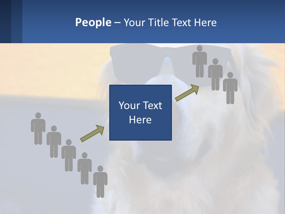 Condition Switch Electricity PowerPoint Template