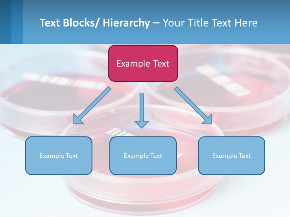 Switch Conditioner Heat PowerPoint Template