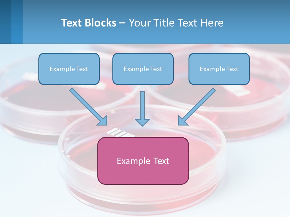 Switch Conditioner Heat PowerPoint Template