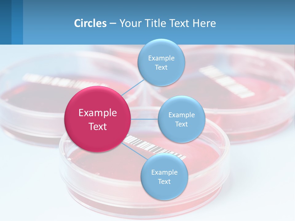 Switch Conditioner Heat PowerPoint Template