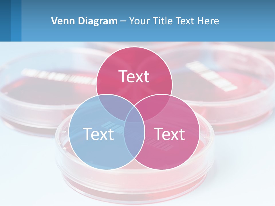 Switch Conditioner Heat PowerPoint Template