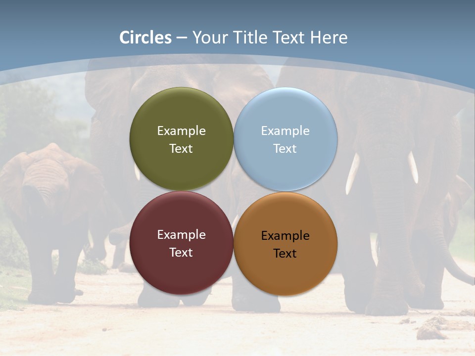 Technology White Temperature PowerPoint Template