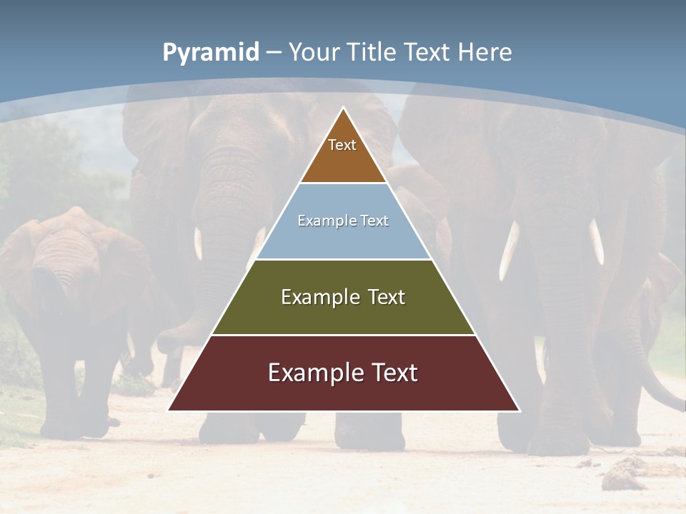 Technology White Temperature PowerPoint Template