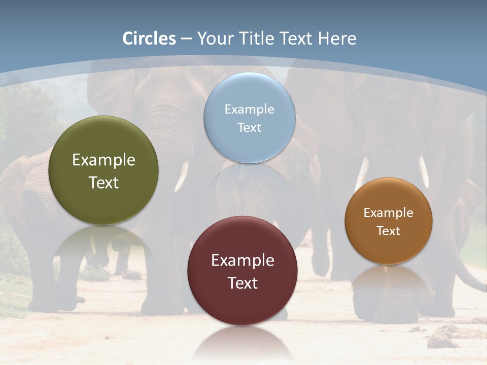 Technology White Temperature PowerPoint Template