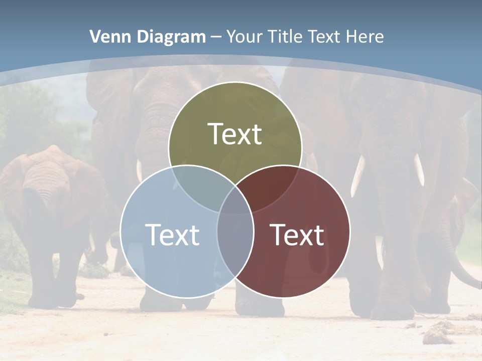 Technology White Temperature PowerPoint Template