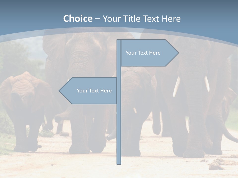 Technology White Temperature PowerPoint Template