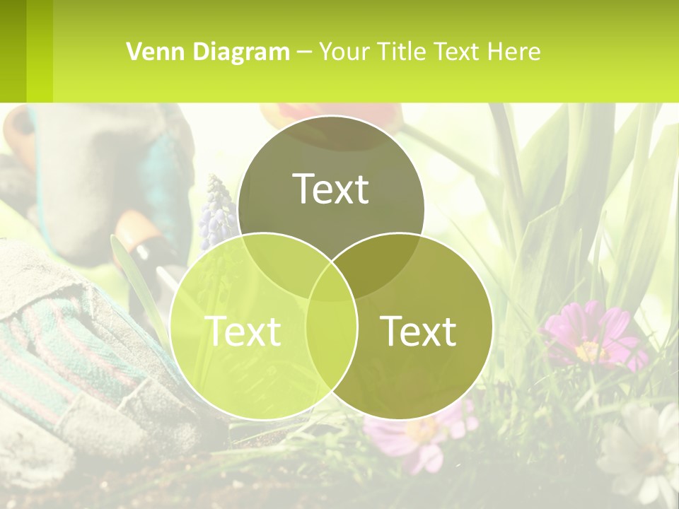 Electricity White Energy PowerPoint Template