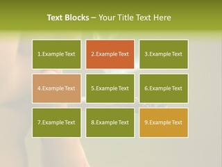 Cool Switch Heat PowerPoint Template