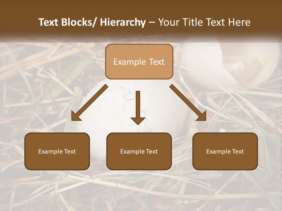 Heat Electricity Ventilation PowerPoint Template