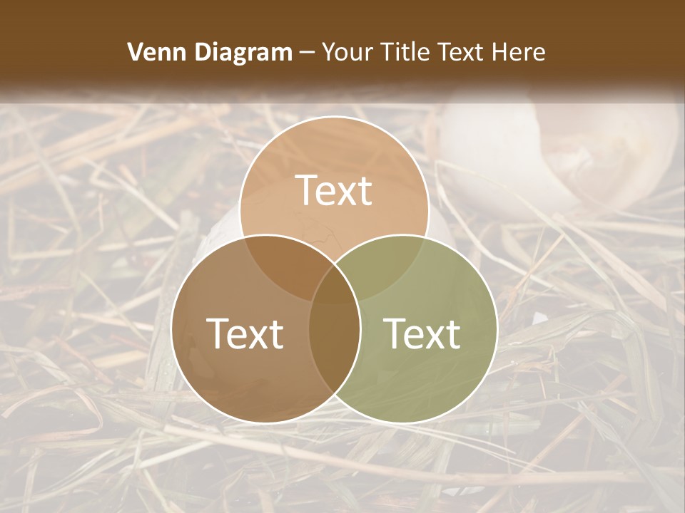 Heat Electricity Ventilation PowerPoint Template