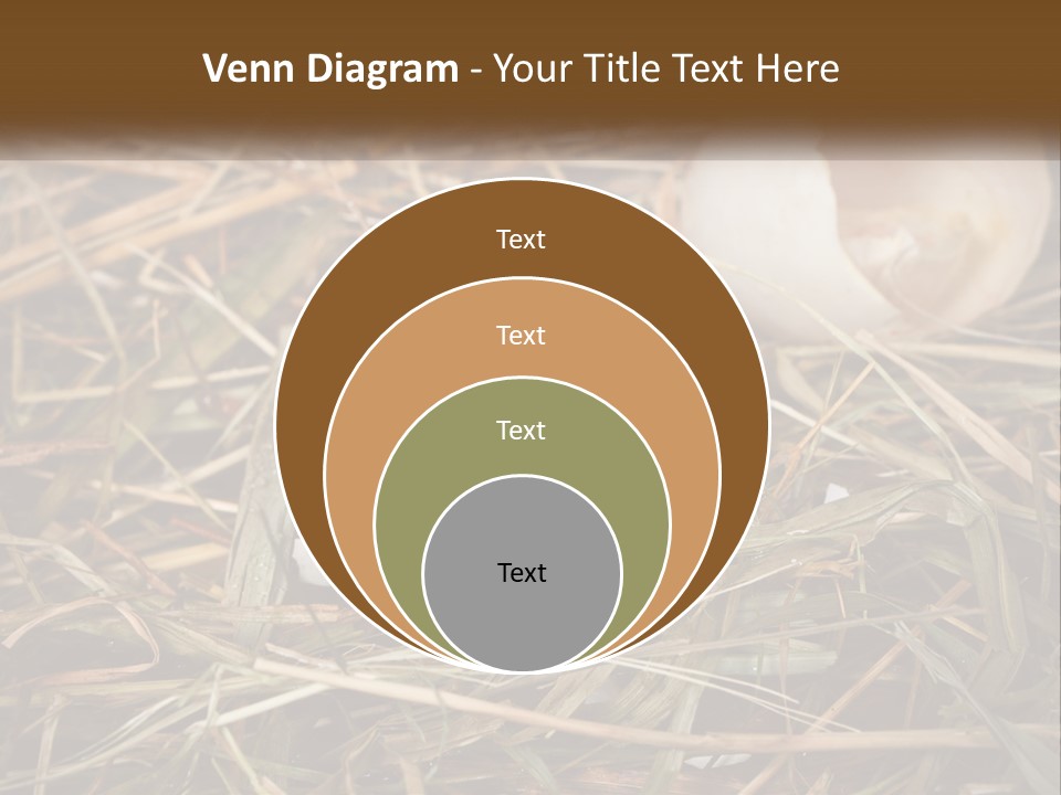 Heat Electricity Ventilation PowerPoint Template