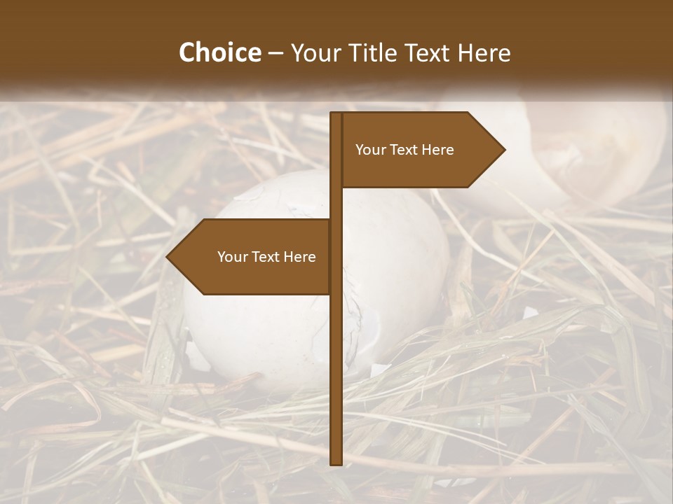 Heat Electricity Ventilation PowerPoint Template