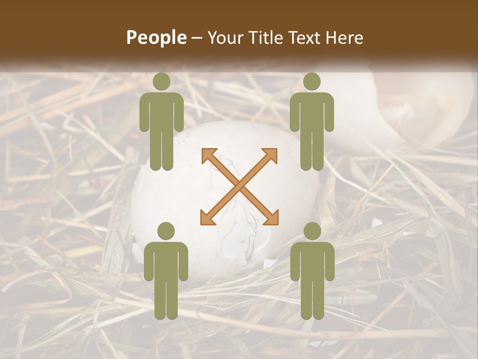 Heat Electricity Ventilation PowerPoint Template