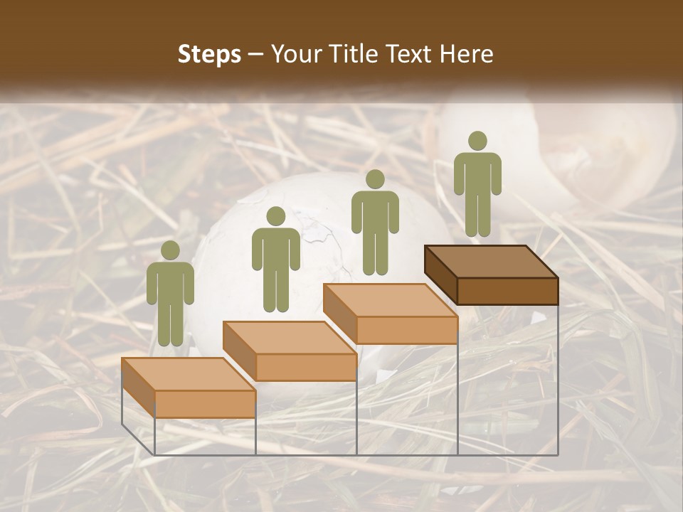 Heat Electricity Ventilation PowerPoint Template