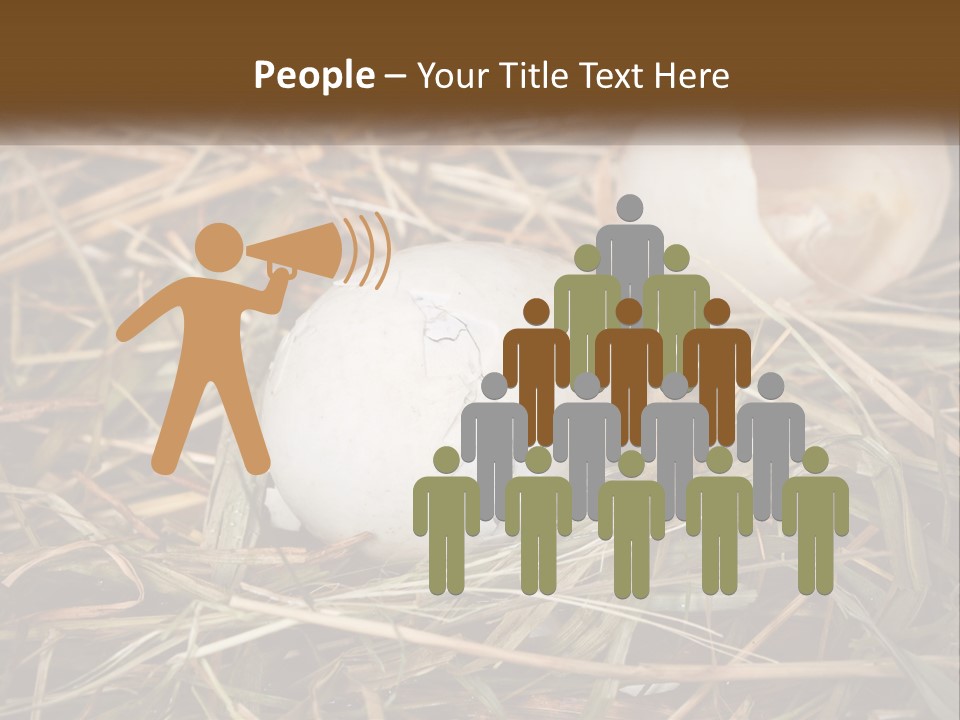 Heat Electricity Ventilation PowerPoint Template