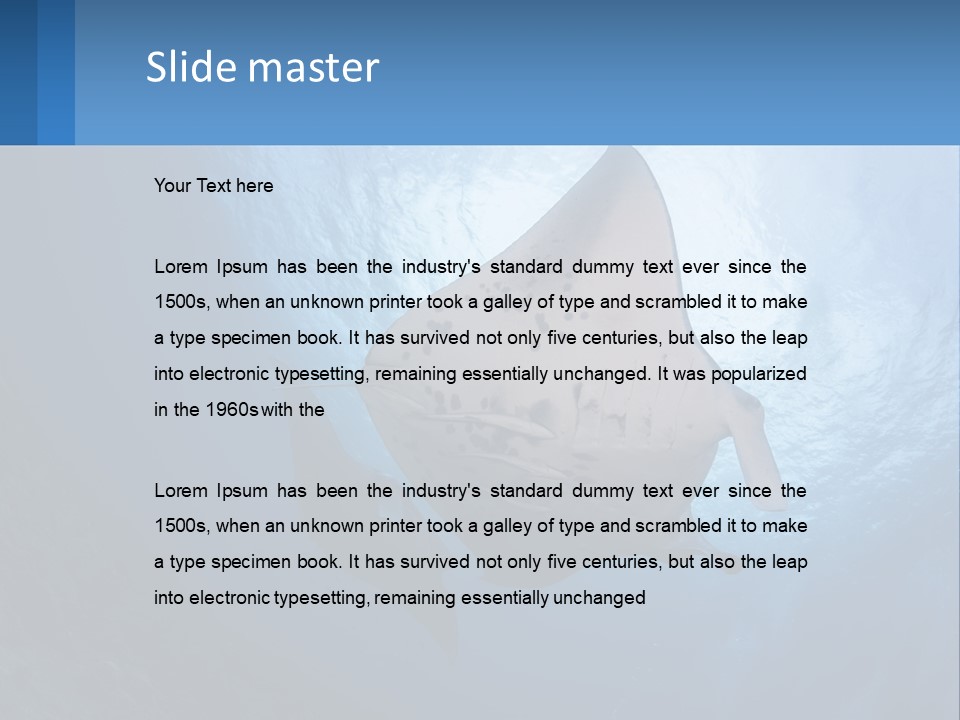 White Temperature Unit PowerPoint Template